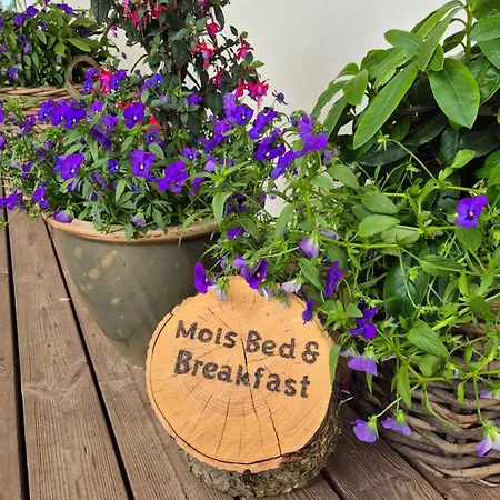 Mols Bed & Breakfast Knebel
