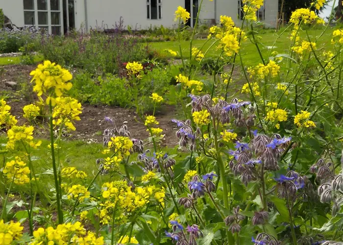 ベッド・アンド・ブレックファスト Mols