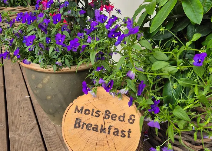 Mols ベッド・アンド・ブレックファスト Knebel